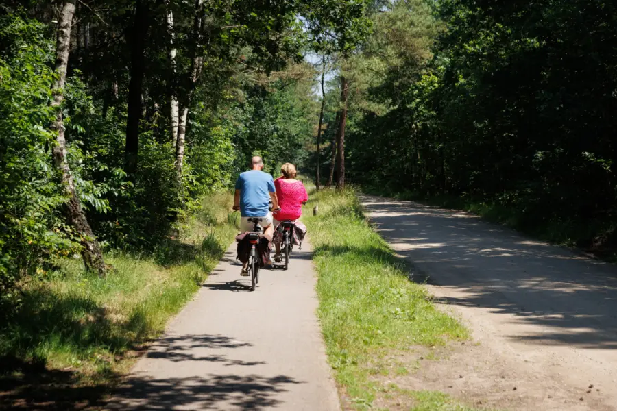 123pix trh camping 33