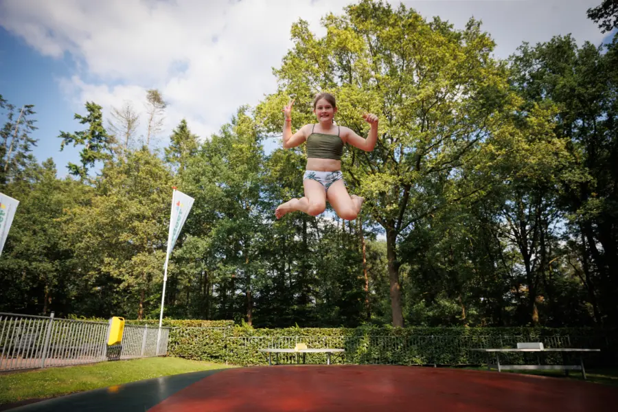 Holterberg Springkussen Hoog