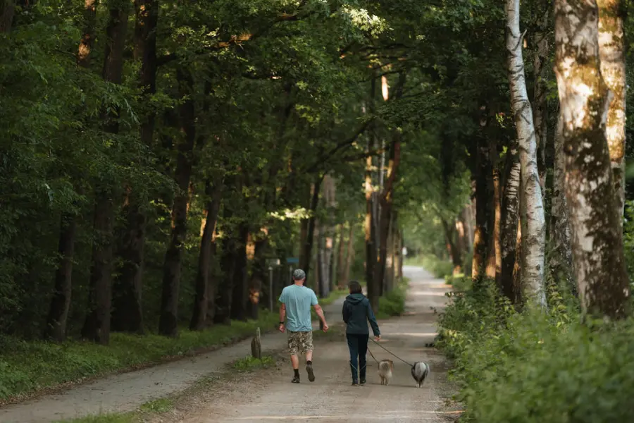 Holterberg Honden Uitlaten