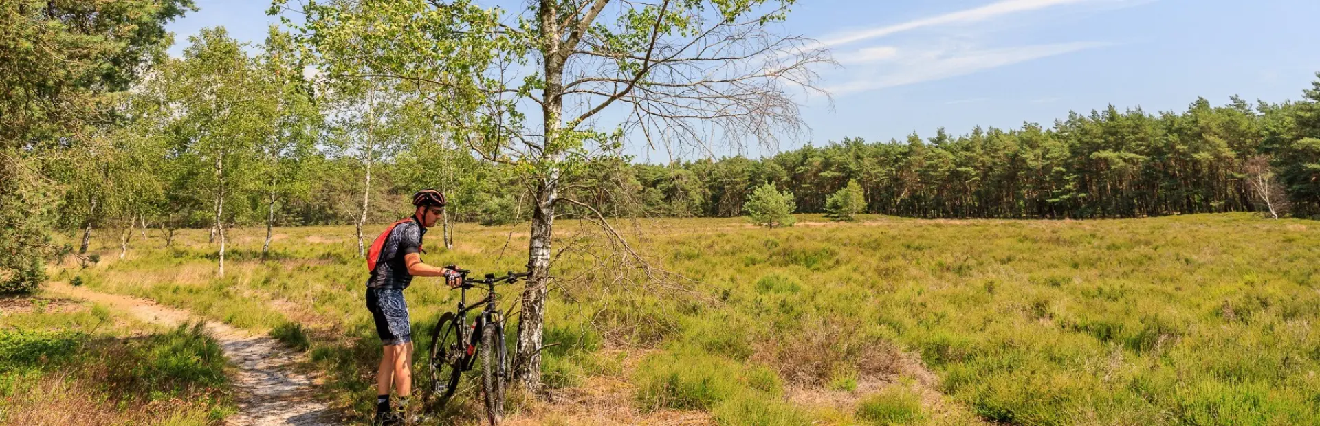 Camping de Holterberg - camping in Overijssel  - Mountainbiken bij Holterberg