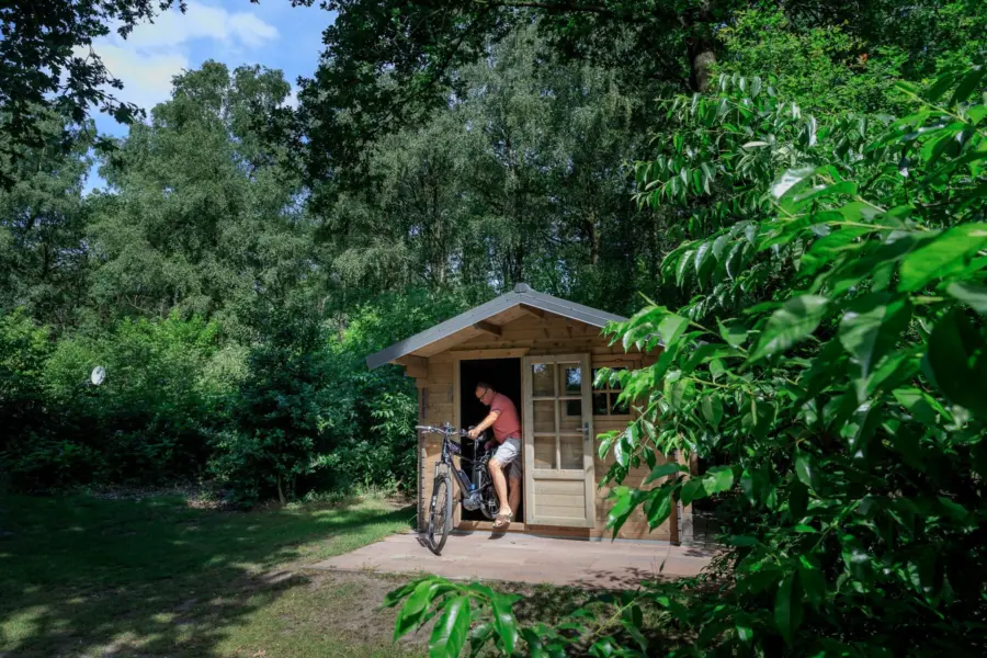 Camping de Holterberg - camping in Overijssel  - verhuur accommodatie