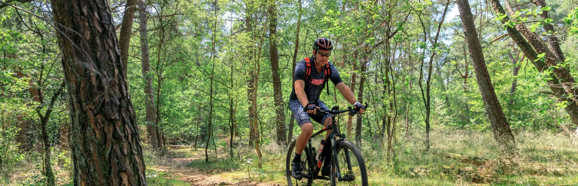 Camping Holterberg in Holten