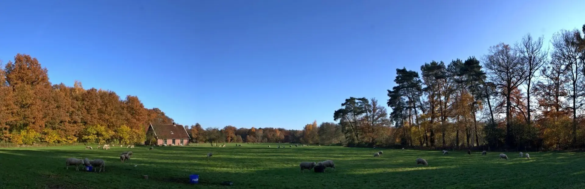 Holterberg twents landschap