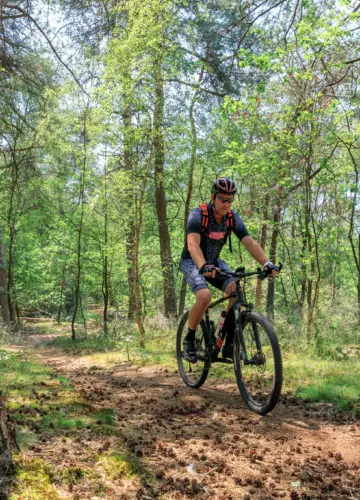 Camping Holterberg in Holten