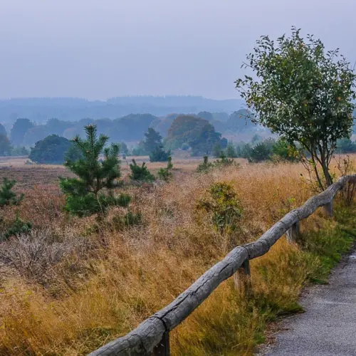Holterberg_Sallandse_Heuvelrug_Uitkijkpunt