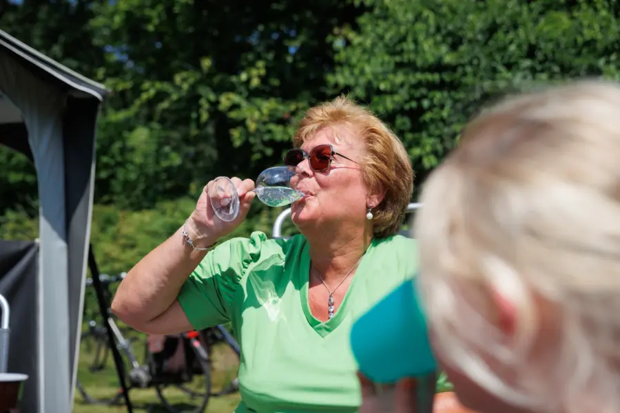 Holterberg kamperen borrel