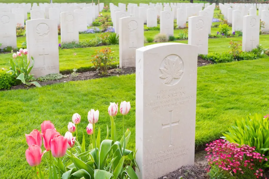 Ontwerp zonder titel 2874 29