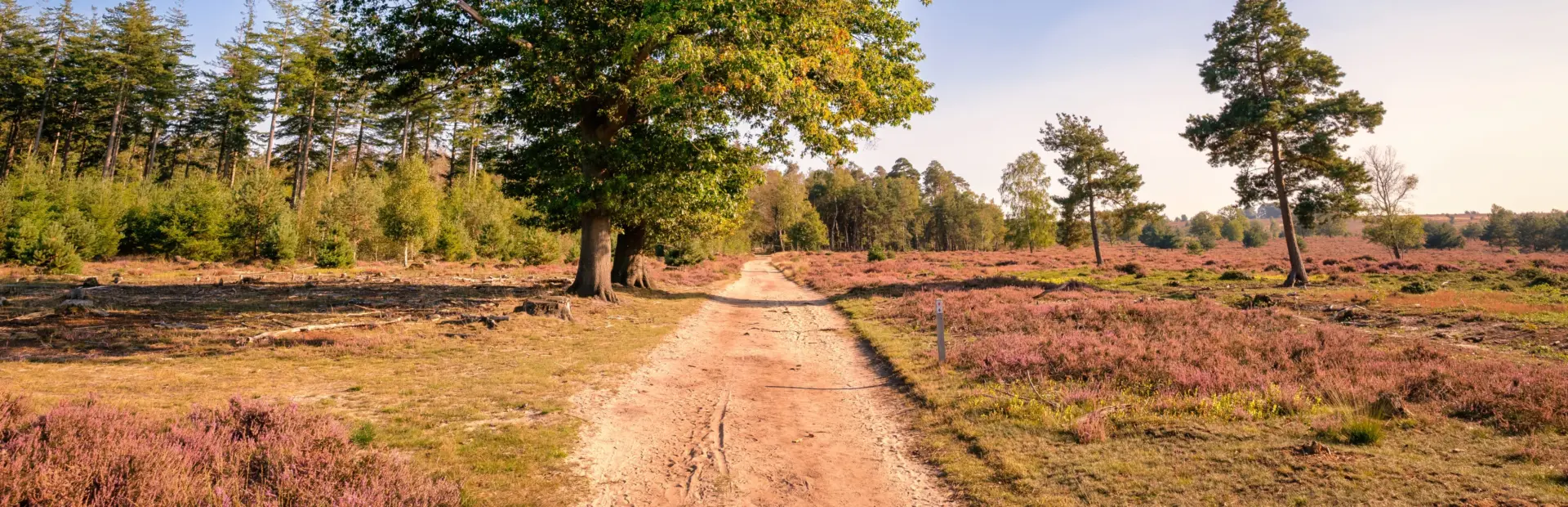 Dreamstime xxl 213035028