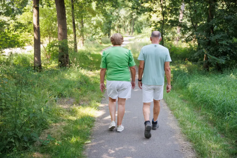 Holterberg Wandelen Bos