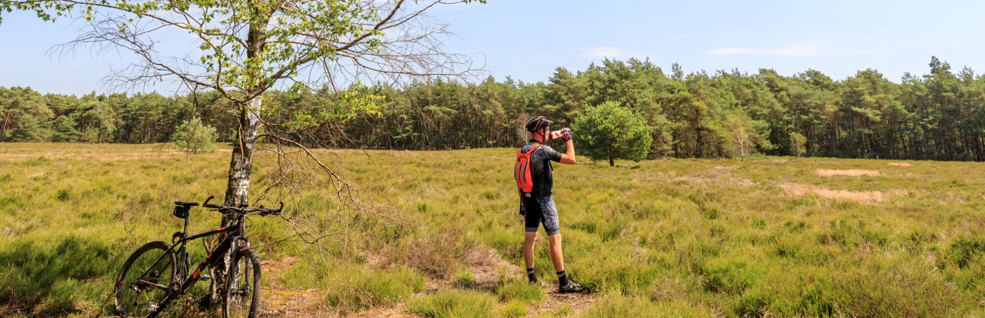 Holterberg overijsselcamping de holterberg in overijssel kamperen in overijssel kindervakantie in nederland 4