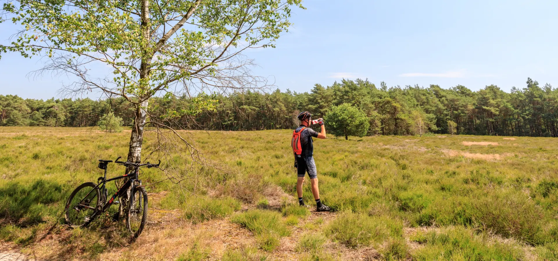 Holterberg overijsselcamping de holterberg in overijssel kamperen in overijssel kindervakantie in nederland 4