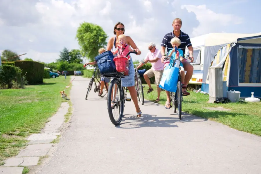 Ontwerp zonder titel 2832 29