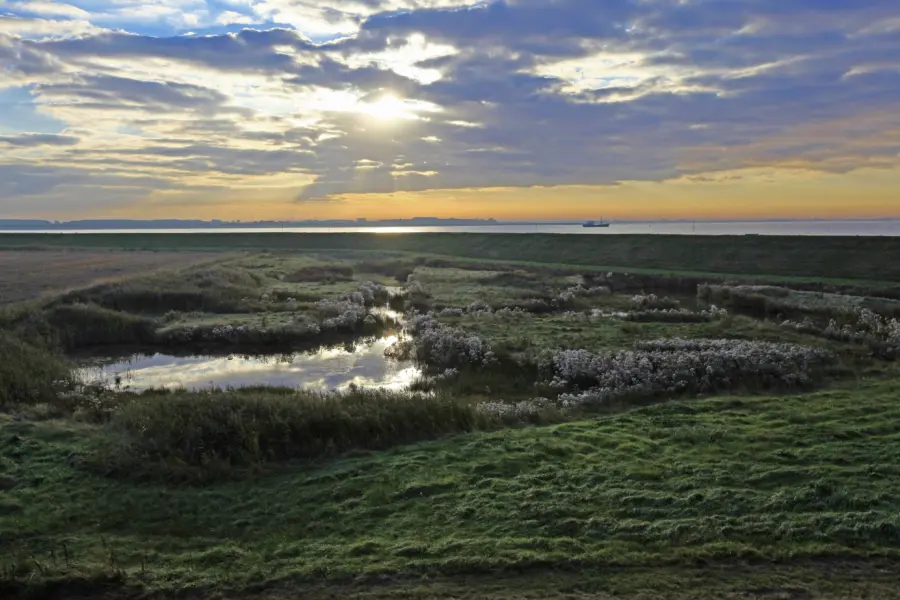 Zeeuwse lucht
