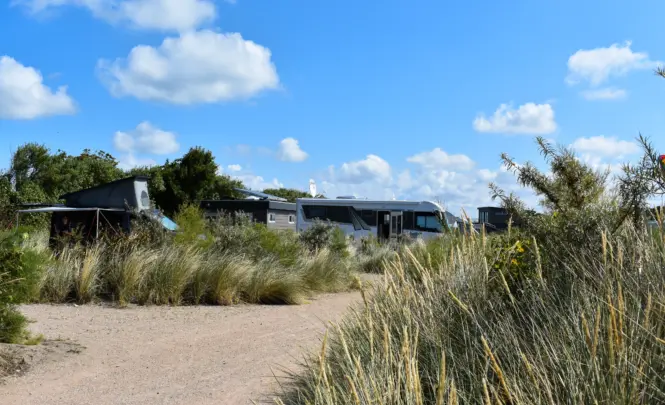 kamperen park zeemeeuw