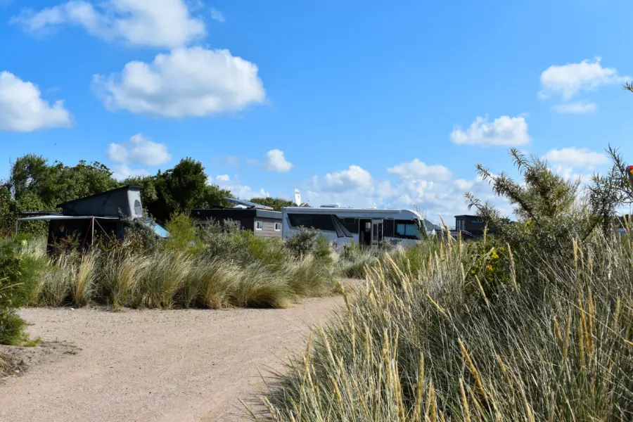 kamperen park zeemeeuw