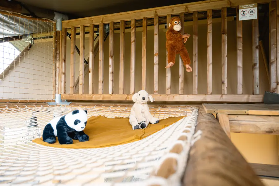 Safaritent huren renesse glamping Julianahoeve 1