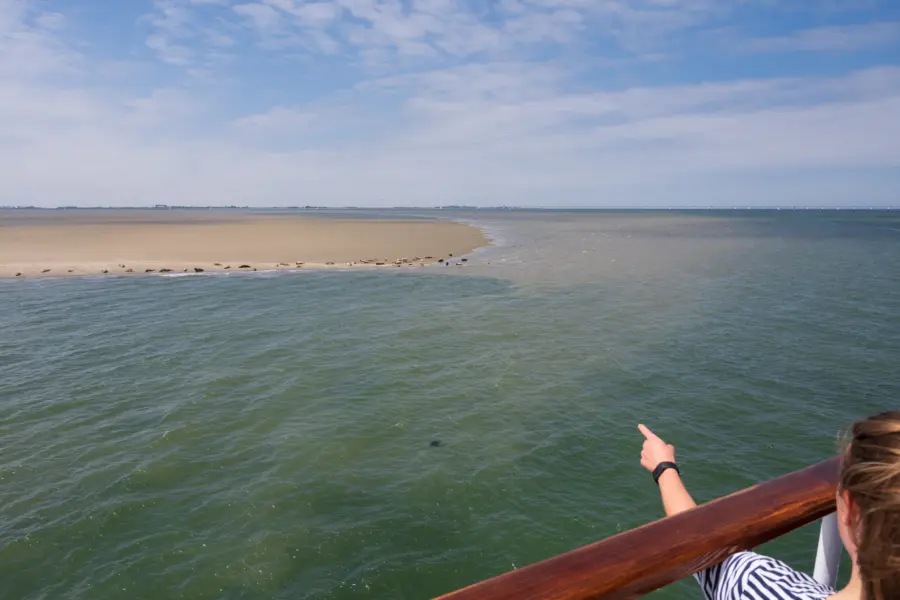 Dreamstime m 221251509