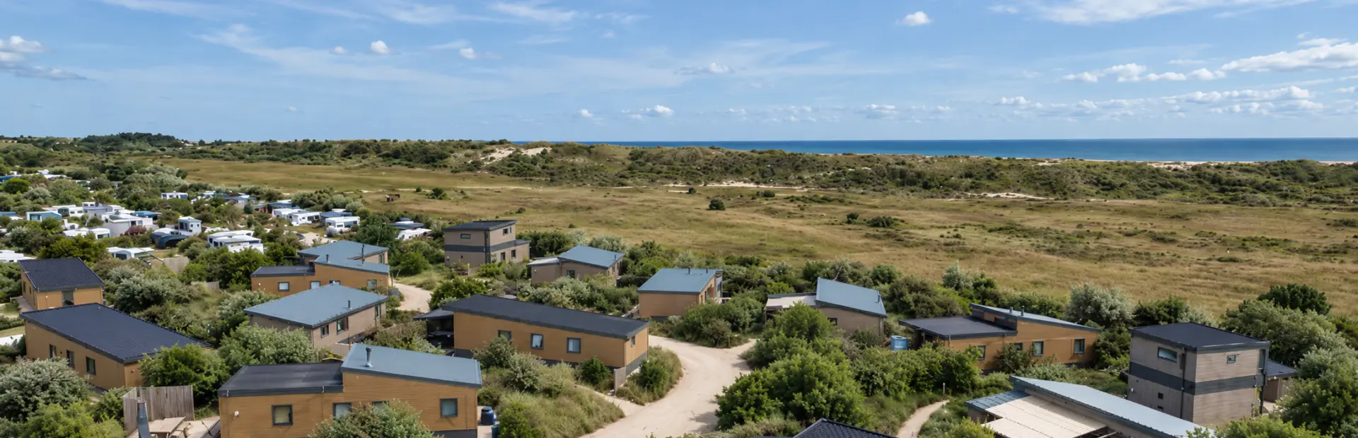Julianahoeve Park Zeemeeuw in de duinen
