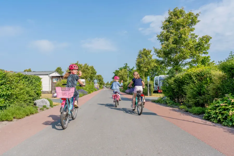 8 juni 2023 Camping Julianahoeve 02361 min