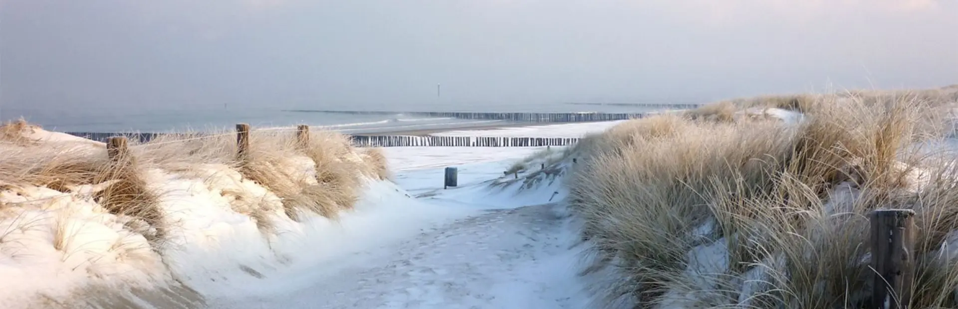 Winter strand schouwen duiveland