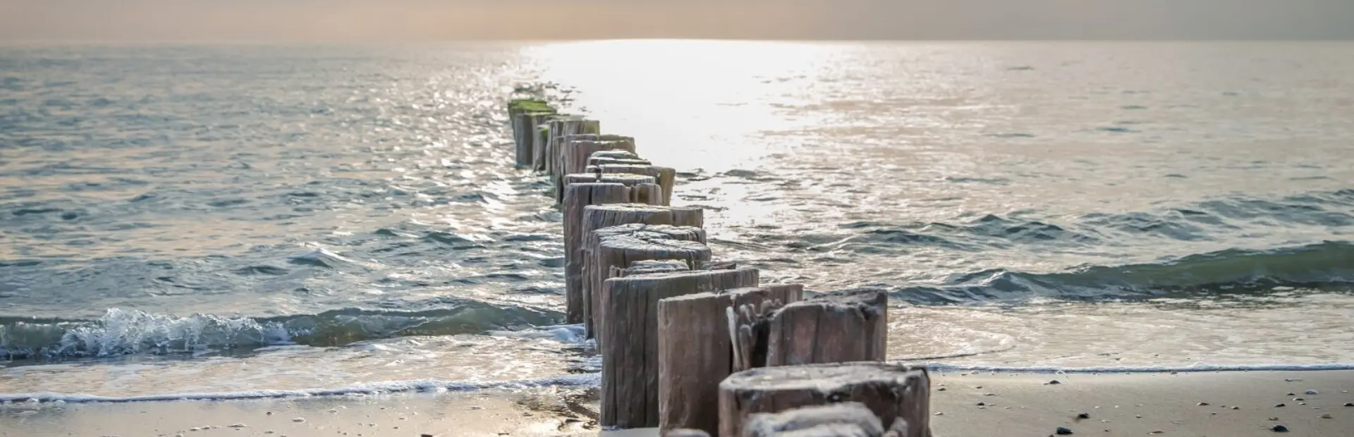 Header veelgestelde vragen