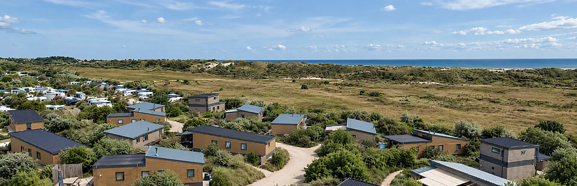 Julianahoeve Park Zeemeeuw in de duinen