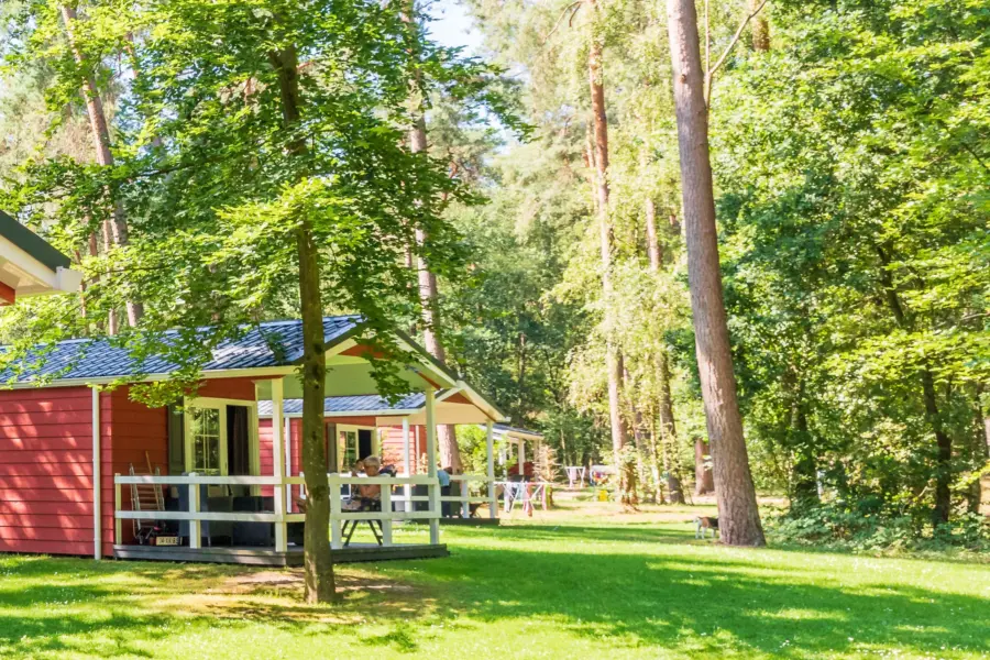 Verhuur bosrand jutberg 281 29 281 29