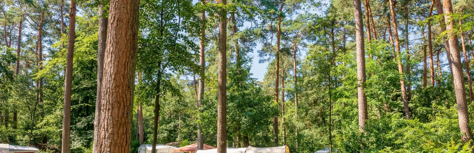 Natuurplaatsen Jutberg