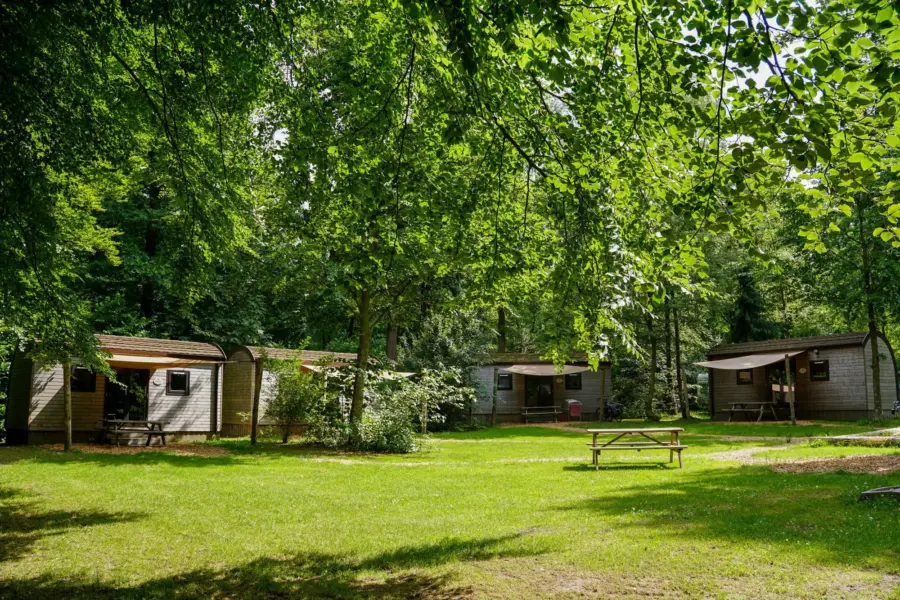 Woodlodge veldje
