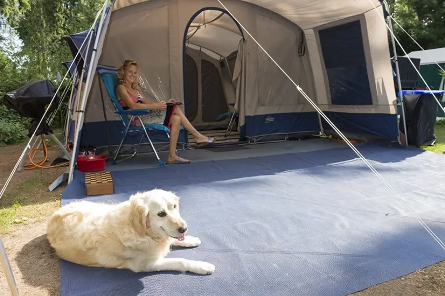 Camping Veluwe met hond kamperen