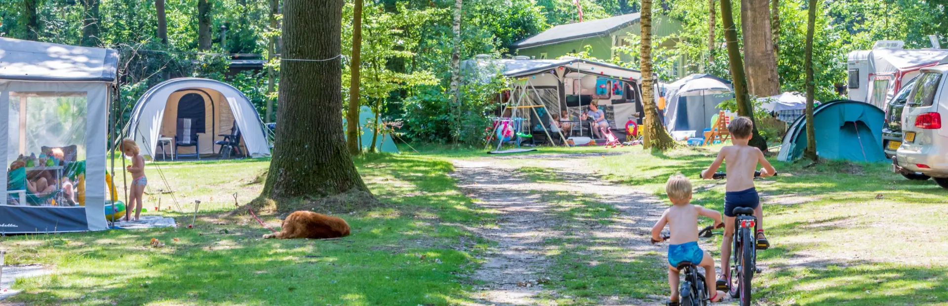 Kamperen in de natuur Vakantiedorp de Jutberg