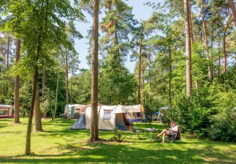 Ruime kampeerplaats met tent en voortent op Vakantiedorp de Jutberg in Gelderland