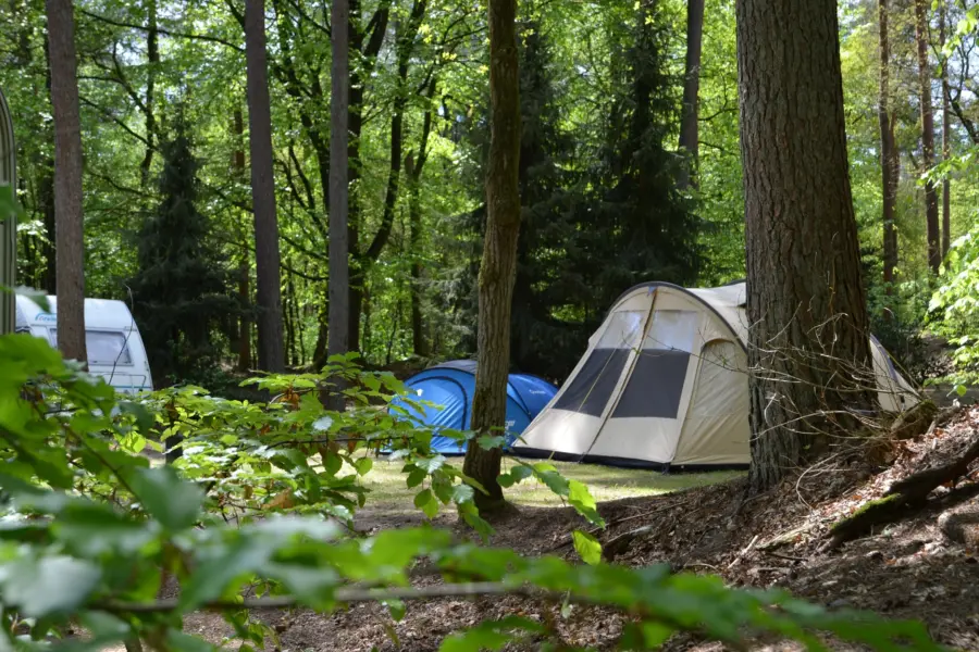 Natuurplaats Jutberg