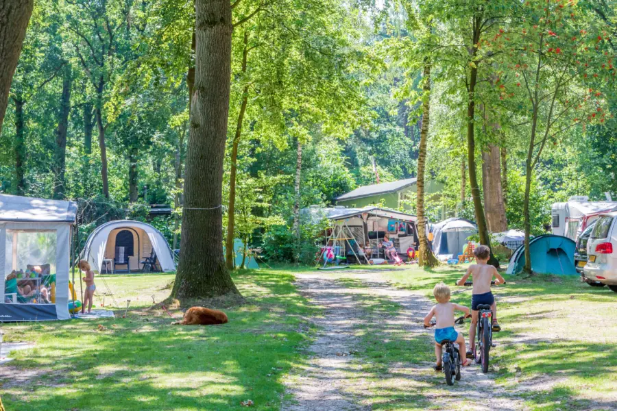 Kamperen in de natuur Vakantiedorp de Jutberg