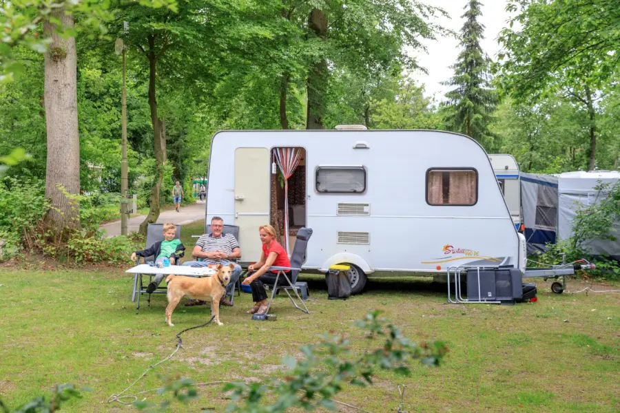 Camping Veluwe met hond