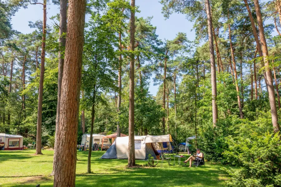 Camping Veluwezoom kamperen