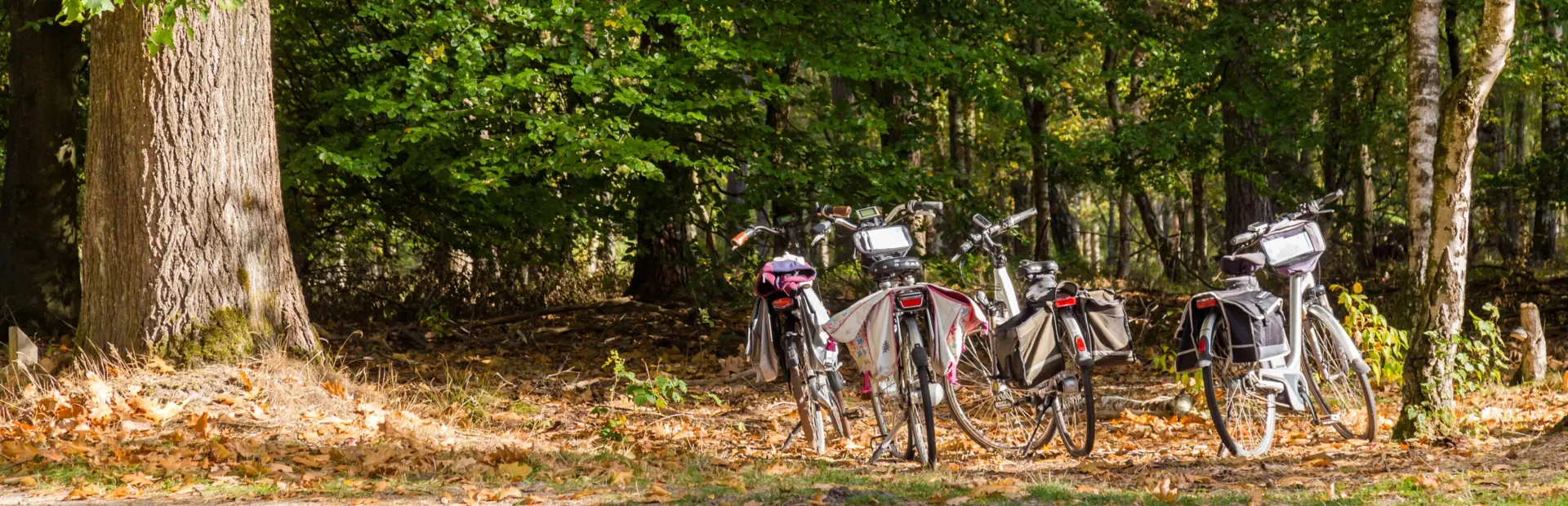 Depositphotos 222496822 xl 2015