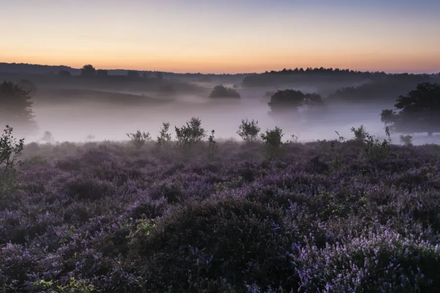 JLsonyA7729 augustus 20158888JLa77