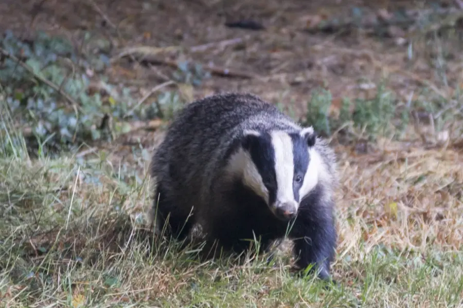 Jlsonya7718 juli 20158608jla77