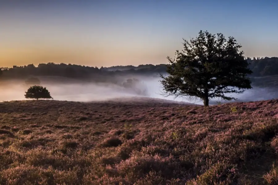 Jlsonya7729 augustus 20158938 panojla77 1