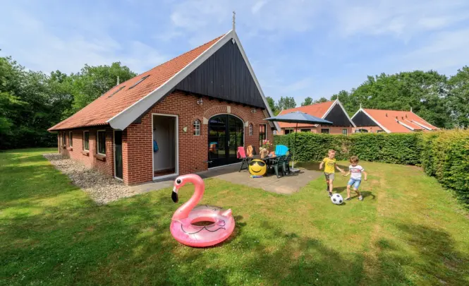 Rub9190625 0438 lores