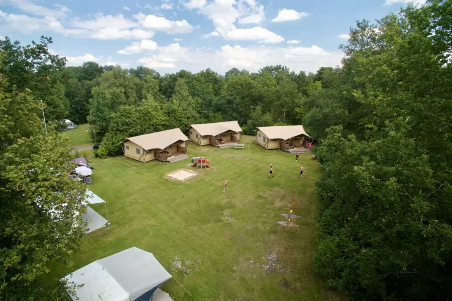 Vogelkers safaritenten kaps