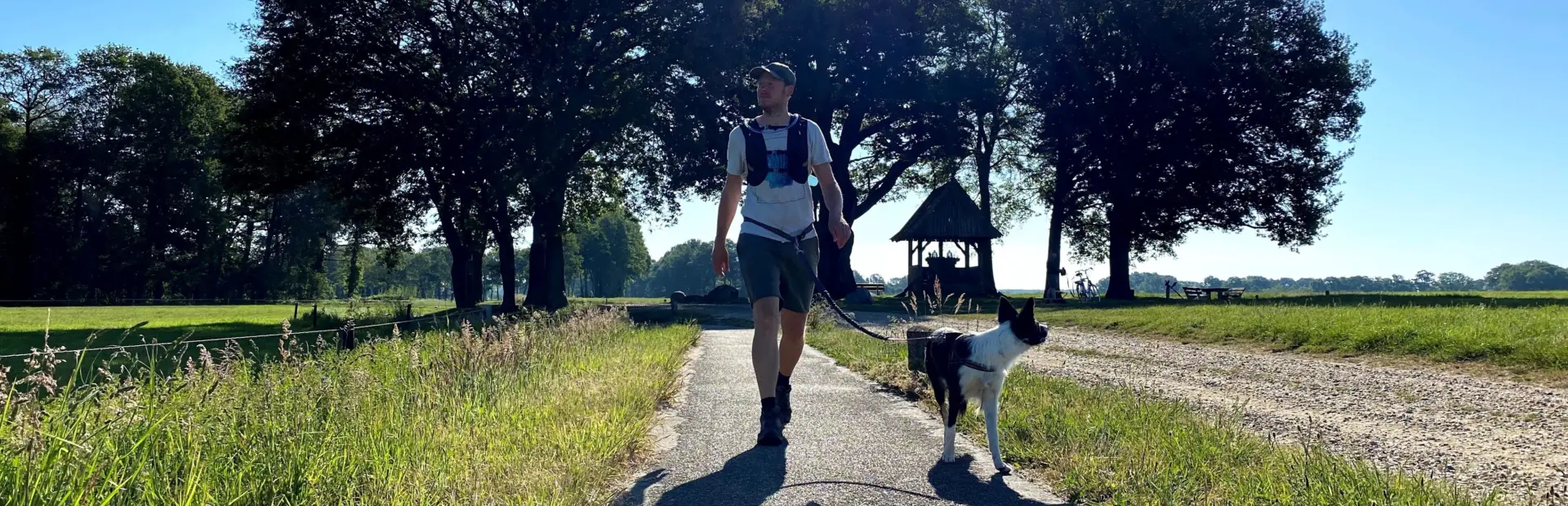 wandelen - kroezeboom - tubbergen - zomer