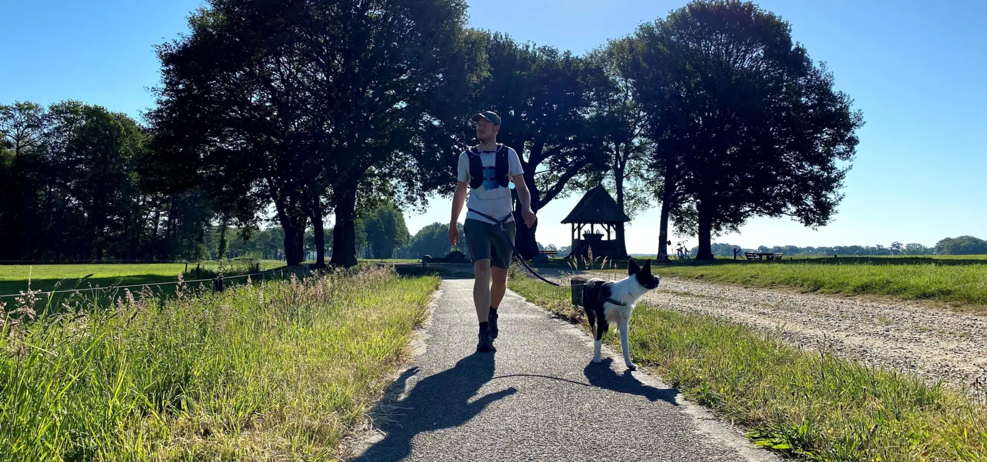 Wandelen kroezeboom tubbergen zomer