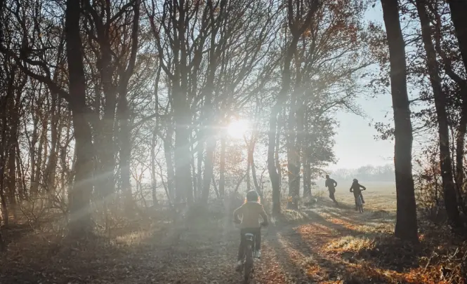 mountainbiken - hardlopen - bos - Twente