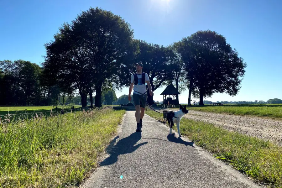 wandelen - kroezeboom - tubbergen - zomer