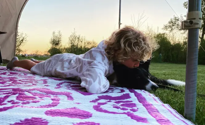 Kamperen met huisdier