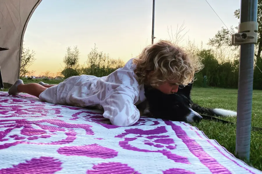 Kamperen met huisdier