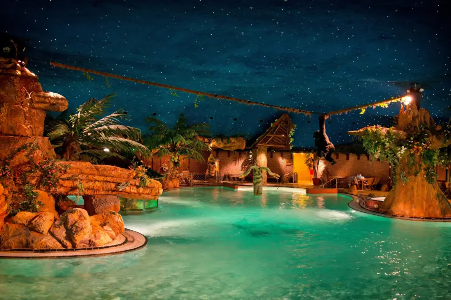 Aap klimt in touw over water subtropisch zwemparadijs