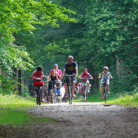 De-Kuilart fietsroutes in bos